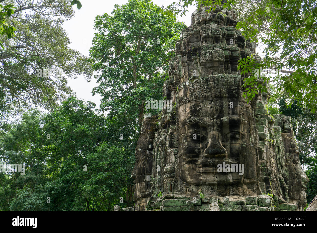 Große khmer Skulptur schmückt das nordtor Angkor Thom Stockfoto