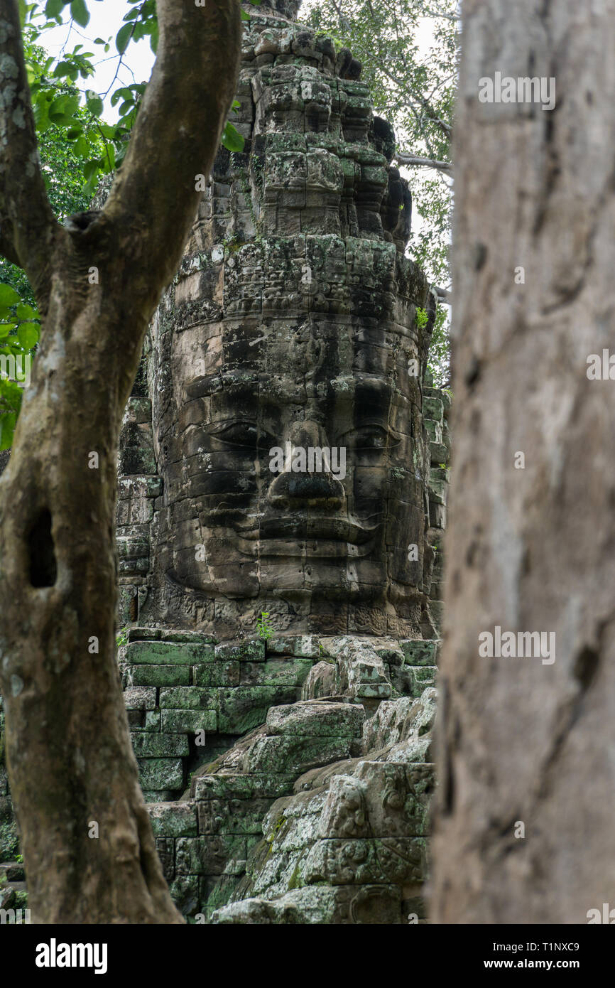 Skulptur von Dschungel Bäume am Angkor Weltkulturerbe gerahmt Stockfoto