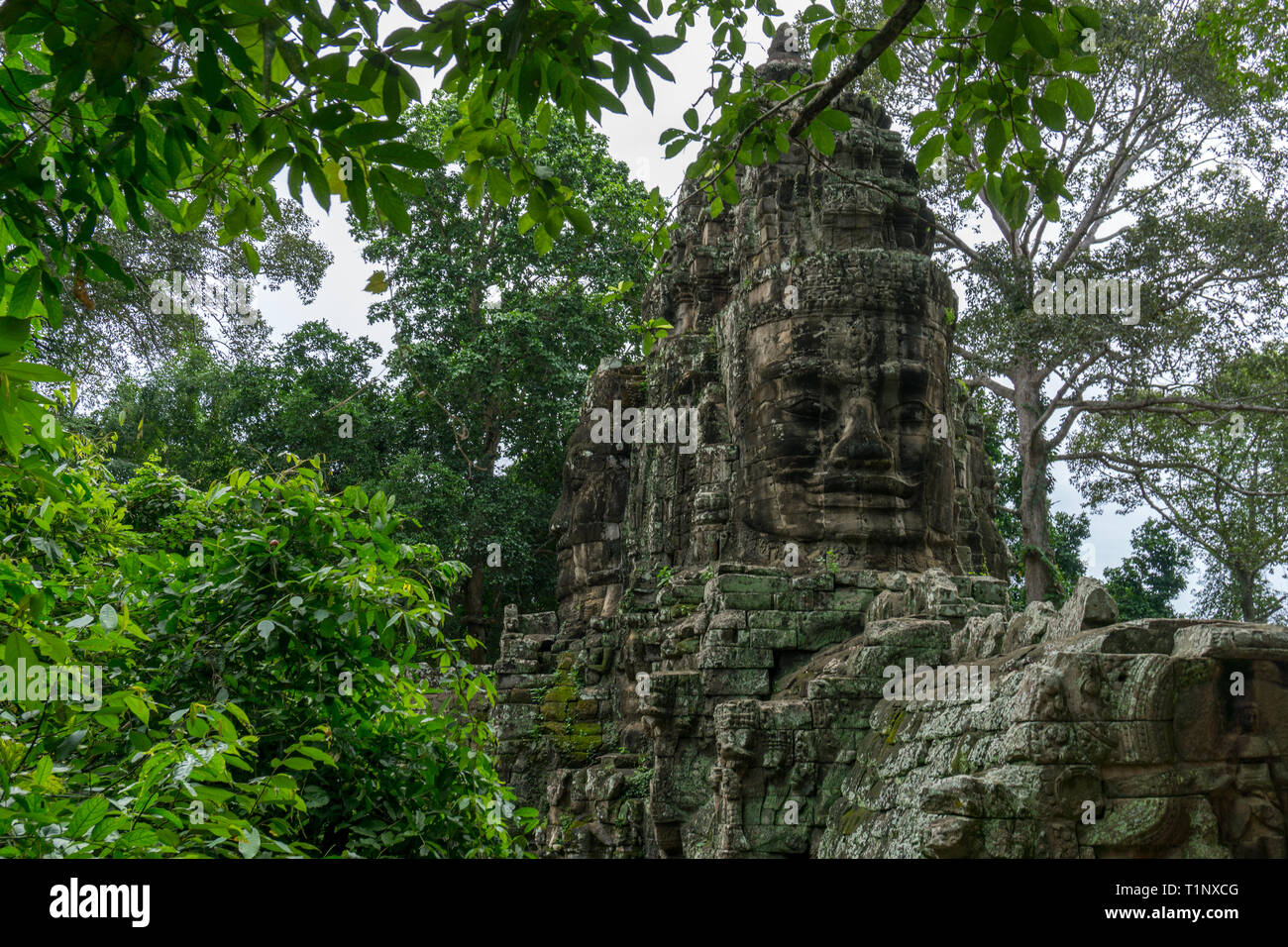 Angkor Ruinen aus der üppigen tropischen Wald gesehen Stockfoto