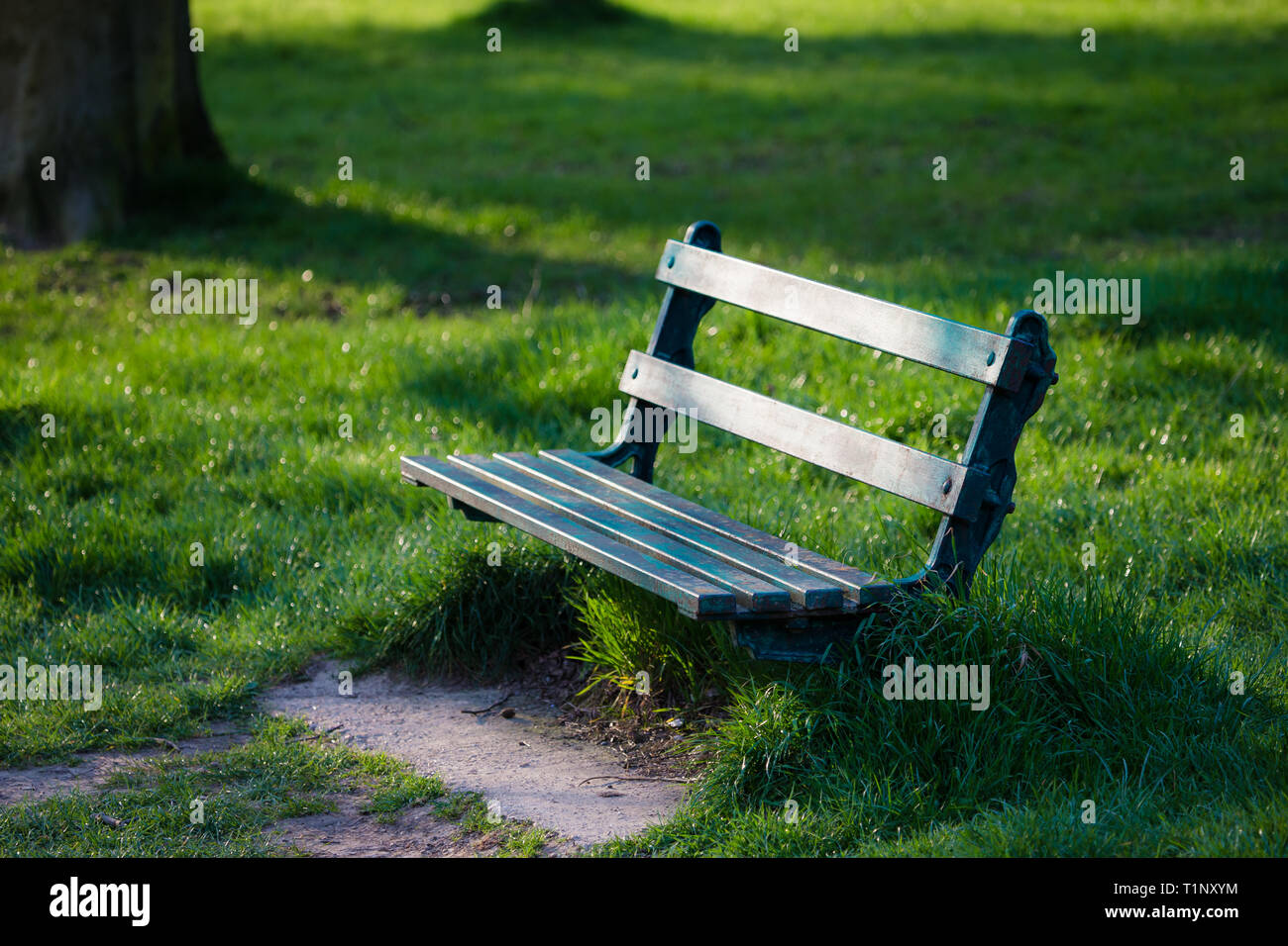 Leeren Parkbank neben einem Baum an einem sonnigen Tag in Shipbourne Kent UK Stockfoto