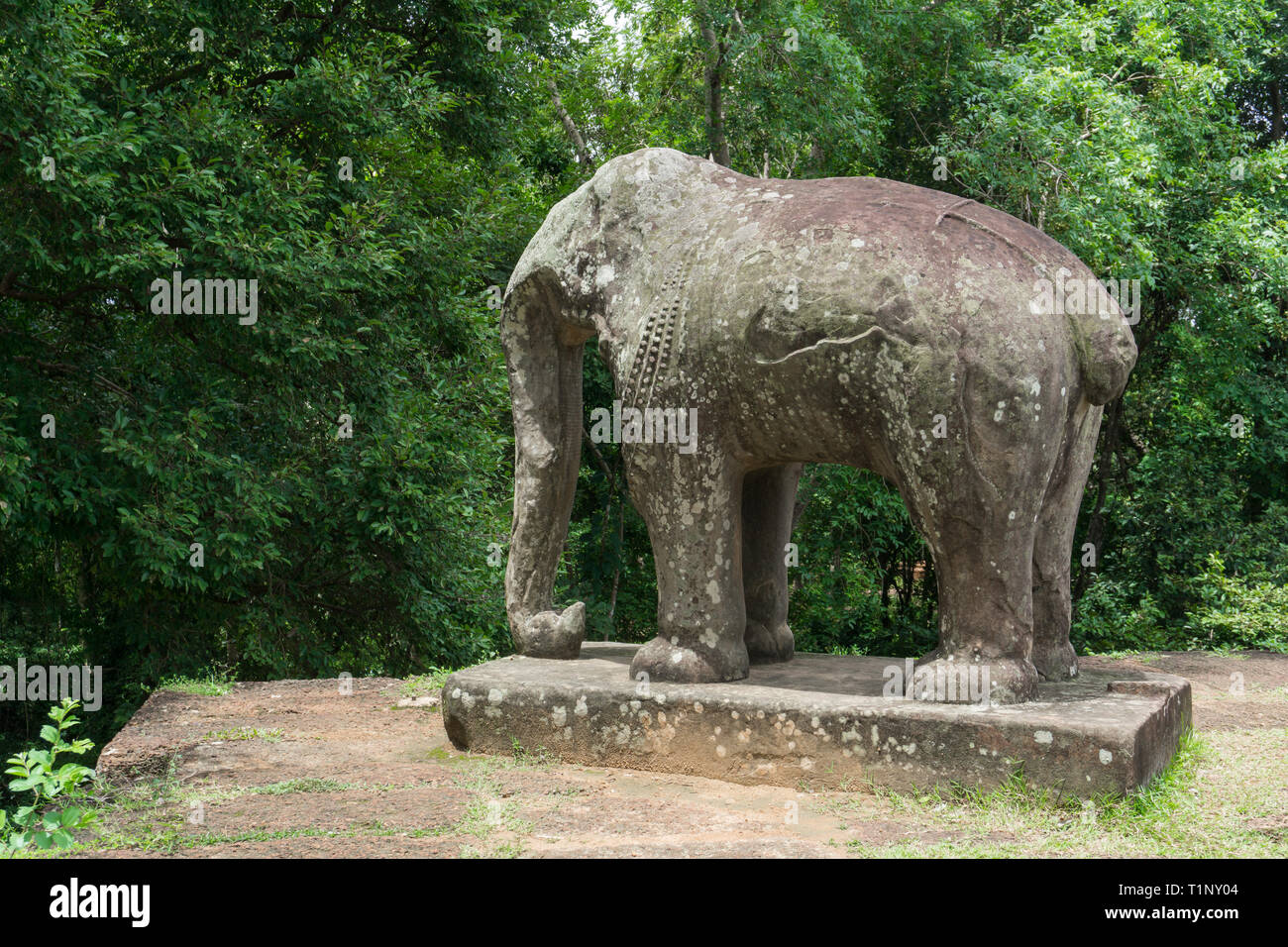 Elefant Skulptur an einem Tempel der Angkor Archäologische Park Stockfoto