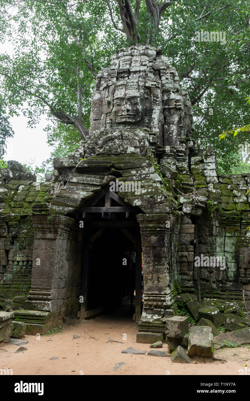 Tor mit Skulptur auf der top gepflegt Angkor Wat in Kambodscha Stockfoto