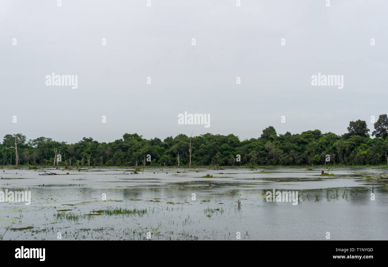 Riesiger Mann - Behälter in der Nähe der Stadt Siem Reap in Kambodscha gemacht Stockfoto