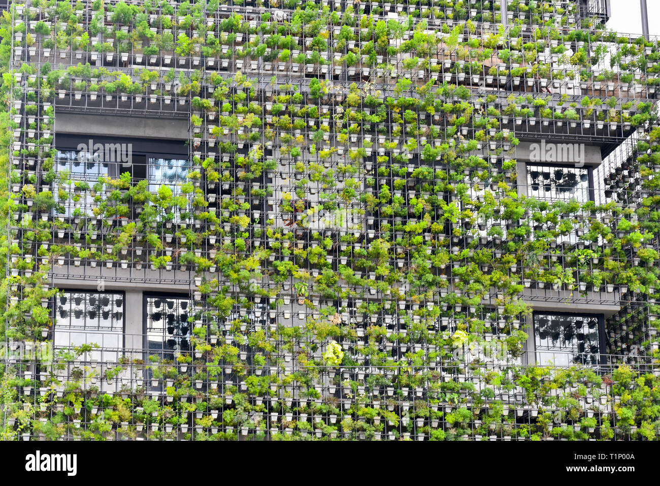 Eco Gebäude, Kuala Lumpur, Malaysia Stockfoto