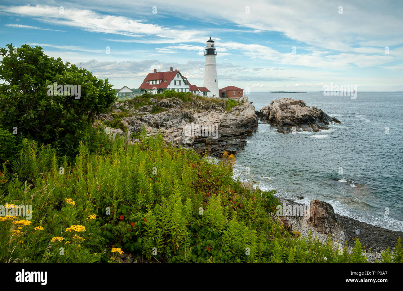 Sommer Wildblumen umgeben Portland Head Lighthouse, der älteste Leuchtturm in Maine. Stockfoto