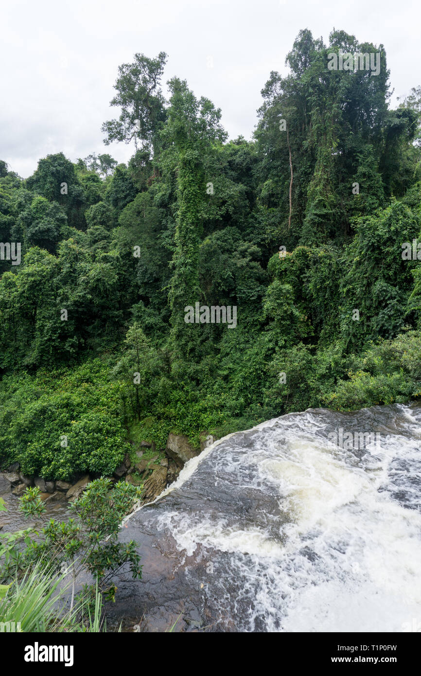 Das Wasser fällt über die Klippe mit dichten Dschungel Vegetation im Hintergrund Stockfoto