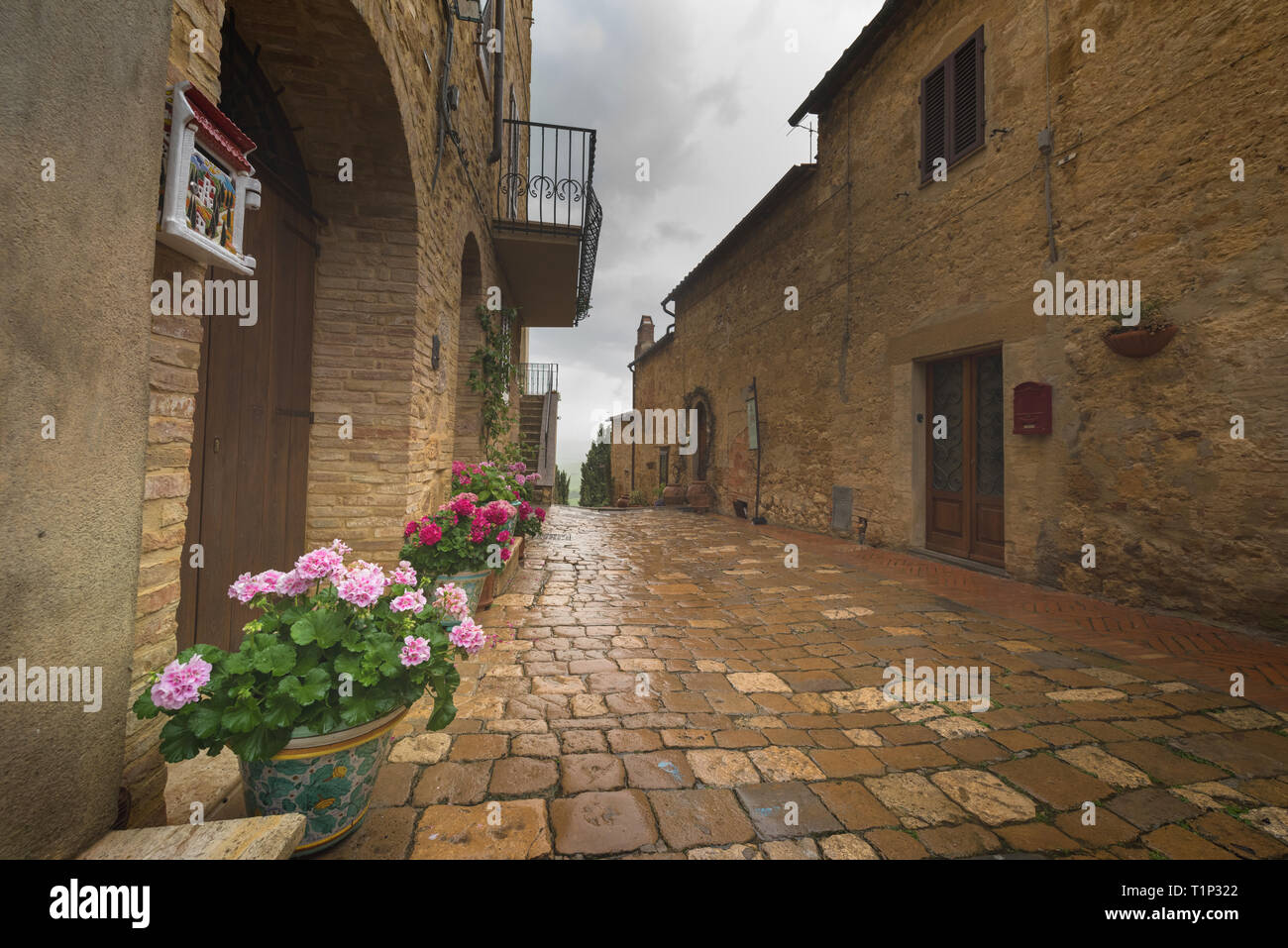 Blumige Straßen an einem regnerischen Frühlingstag in einem kleinen magischen Dorf Pienza, Toskana. Stockfoto