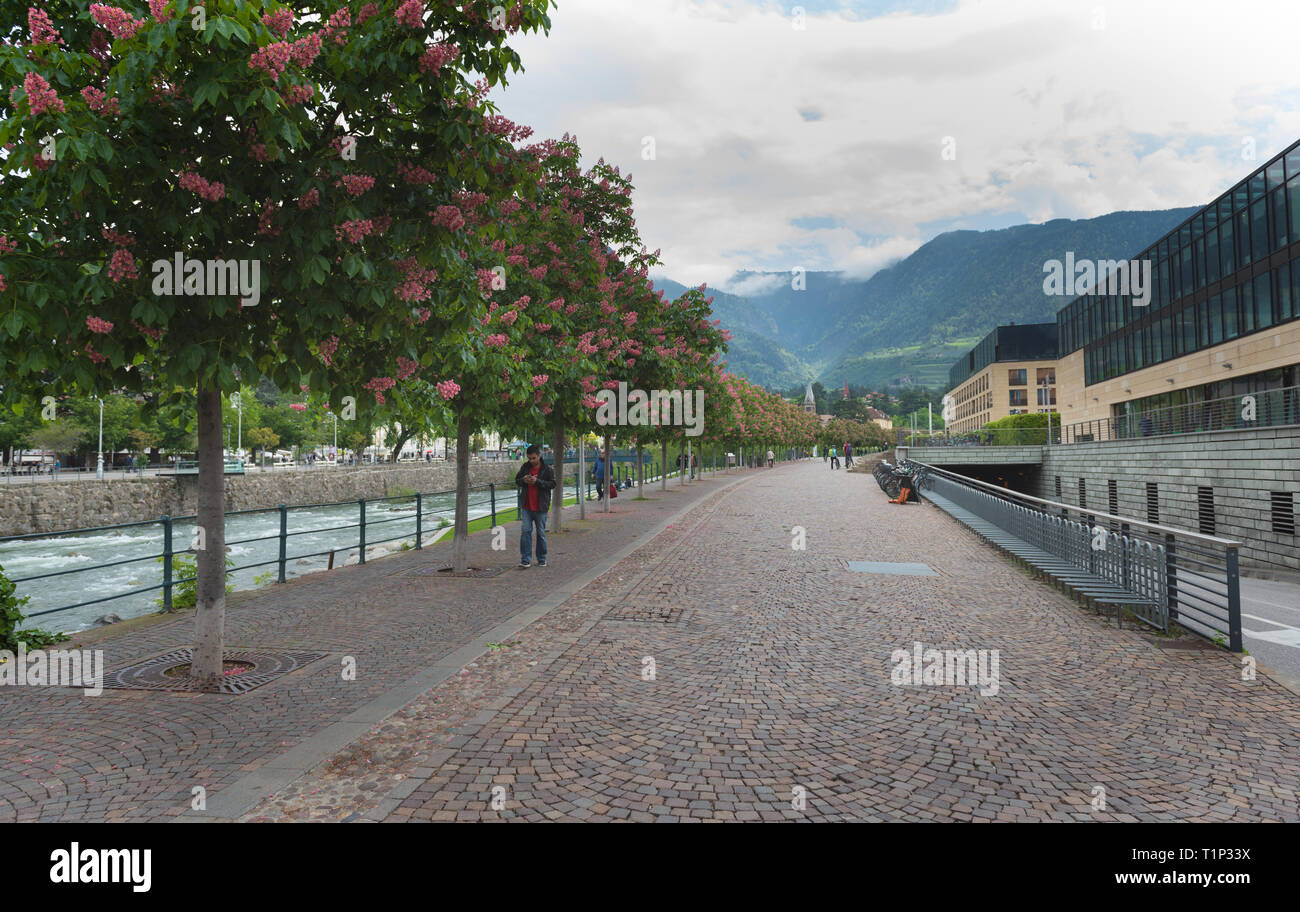 Botanischer garten von meran Fotos und Bildmaterial in hoher