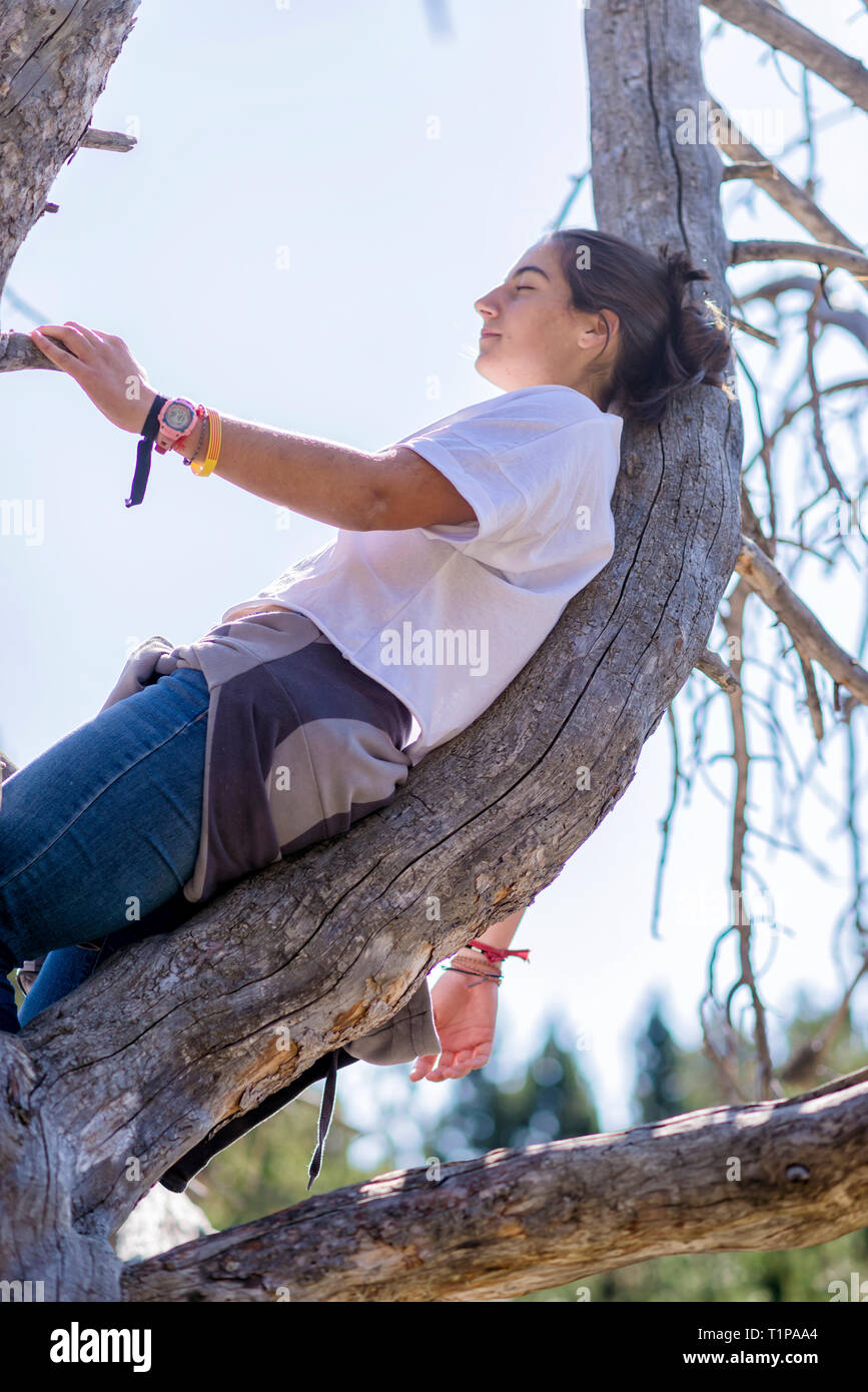 Junge Frau liegt mit geschlossenen Augen und entspannen auf Baum im Wald. Stockfoto