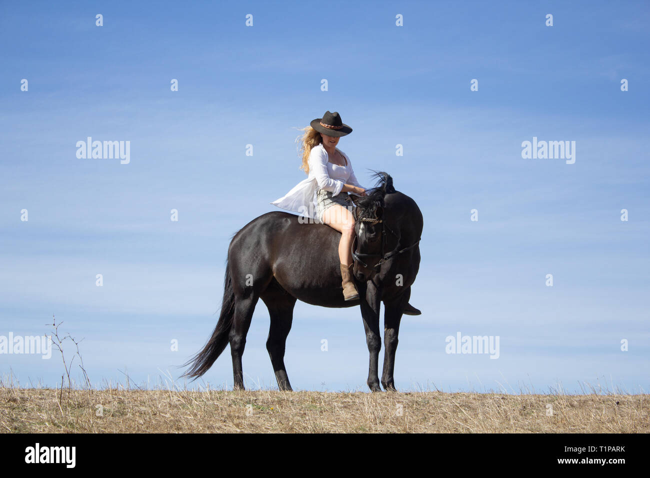 Gehen für einen Ausritt mit dem Pferd. Nur ich, mein Pferd und mein Hund. Dies ist, wie ich aus der Welt zu entkommen. Nichts ganz wie eine Fahrt zu vergessen Stockfoto