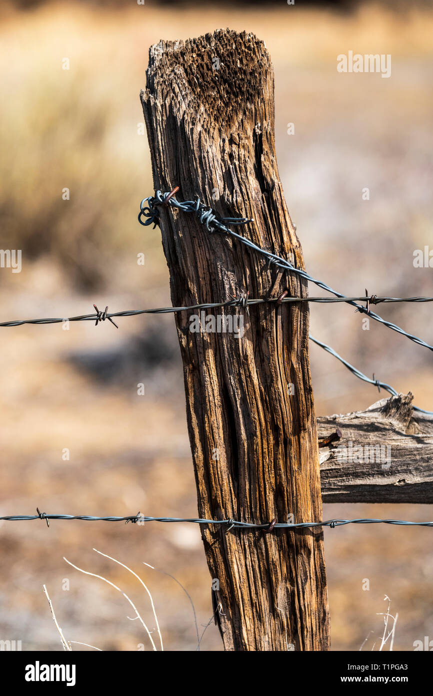Nahaufnahme der Stacheldrahtzaun und verwitterten hölzernen Zaun Pfosten; Ranch in Colorado, USA Stockfoto