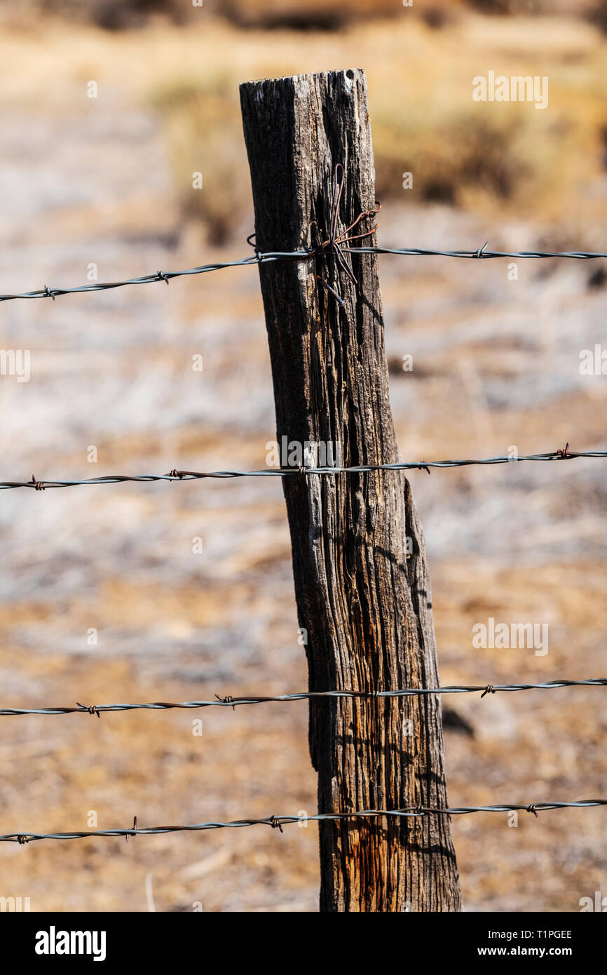 Nahaufnahme der Stacheldrahtzaun und verwitterten hölzernen Zaun Pfosten; Ranch in Colorado, USA Stockfoto