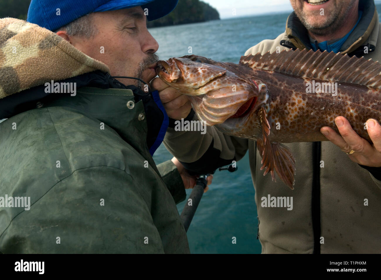 WA 05410-00 ... WASHINGTON - Fischer gefangen einen großen Leng Kabeljau aus San Juan Insel. (MR) Stockfoto