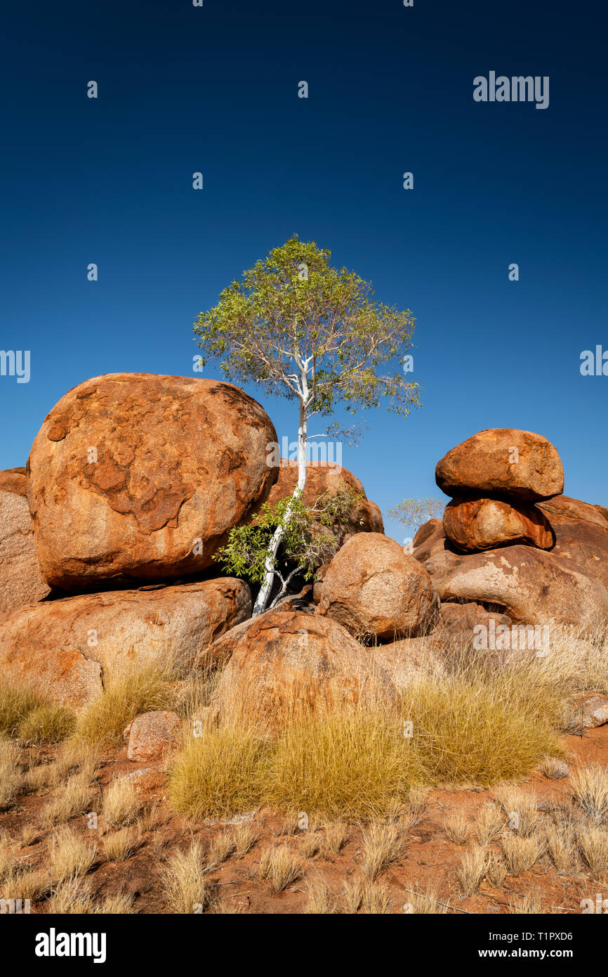 Berühmte Granitblock der Devils Marbles am Stuart Highway. Stockfoto