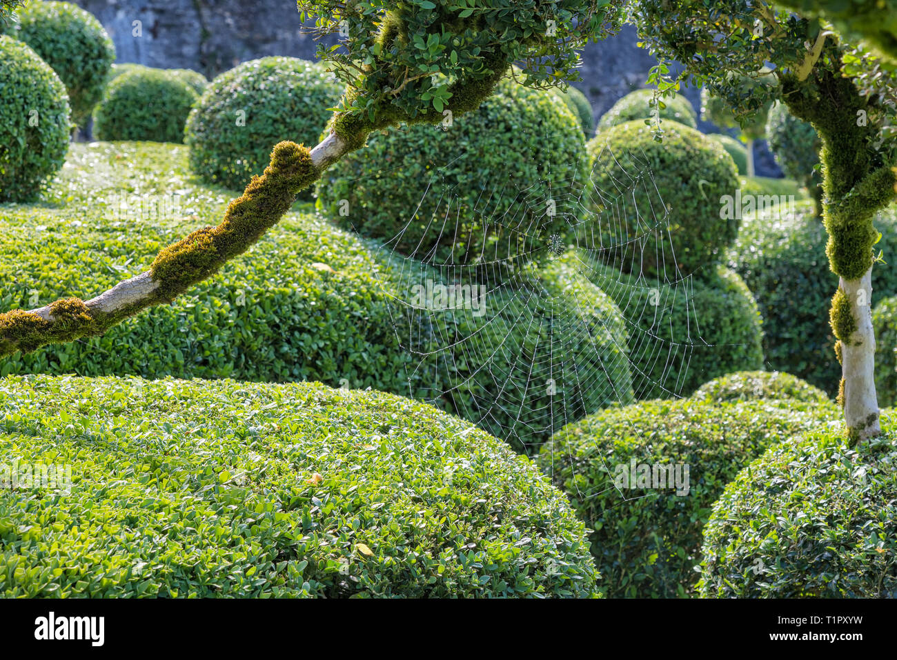 Die Gärten von Marqueyssac befinden sich nahe dem Château de Marqueyssac, Dordogne, Frankreich. Sie sind hoch oben auf einer Klippe über dem Tal der Dordogne. Stockfoto
