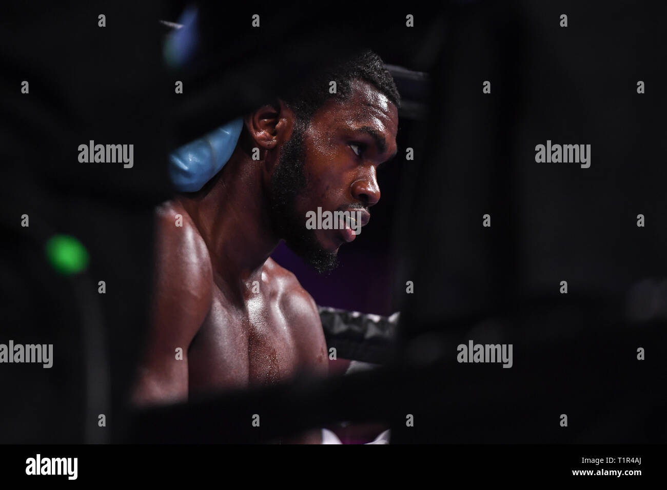 Oxon Hill, Maryland, USA. 24 Mär, 2019. JAMONTAY CLARK hört auf seinen Trainer zwischen den Runden der Super welterweight Match im MGM National Harbor in Oxon Hill, Maryland. Credit: Amy Sanderson/ZUMA Draht/Alamy leben Nachrichten Stockfoto