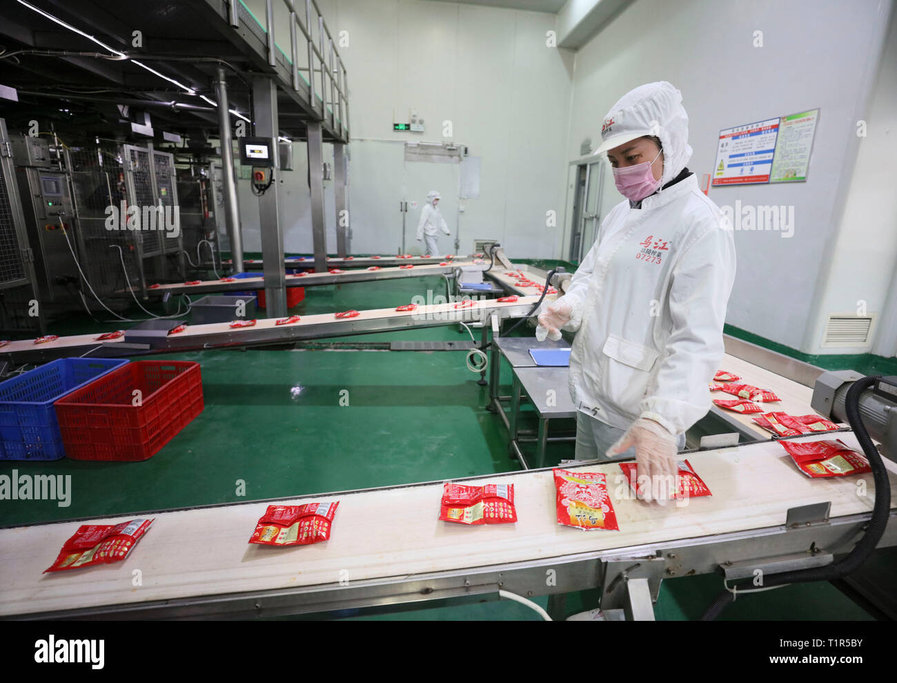 (190328) - chongqing, 28. März 2019 (Xinhua) - ein arbeitsprozesse Essiggurke entlang einer Fertigungsstraße eine Fabrik in Chongqing, Südwesten Chinas, Feb 22, 2019. Die Skala von Chinas essiggurke Industrie überstieg 4,97 Milliarden Yuan (rund 740 Millionen US-Dollar) im Jahr 2017, mit einer durchschnittlichen Wachstumsrate von 7,3 Prozent in den letzten fünf Jahren. Nach Angaben der Bezirksregierung Fuling in Chongqing, über 600.000 Bauern werden im Anbau von Stammzellen Senf beteiligt - das Rohmaterial für die Gurke. Im Jahr 2017, 1,6 Millionen Tonnen von Stammzellen Senf wurden produziert, die sich in 470.000 Tonne vorgenommen wurden Stockfoto