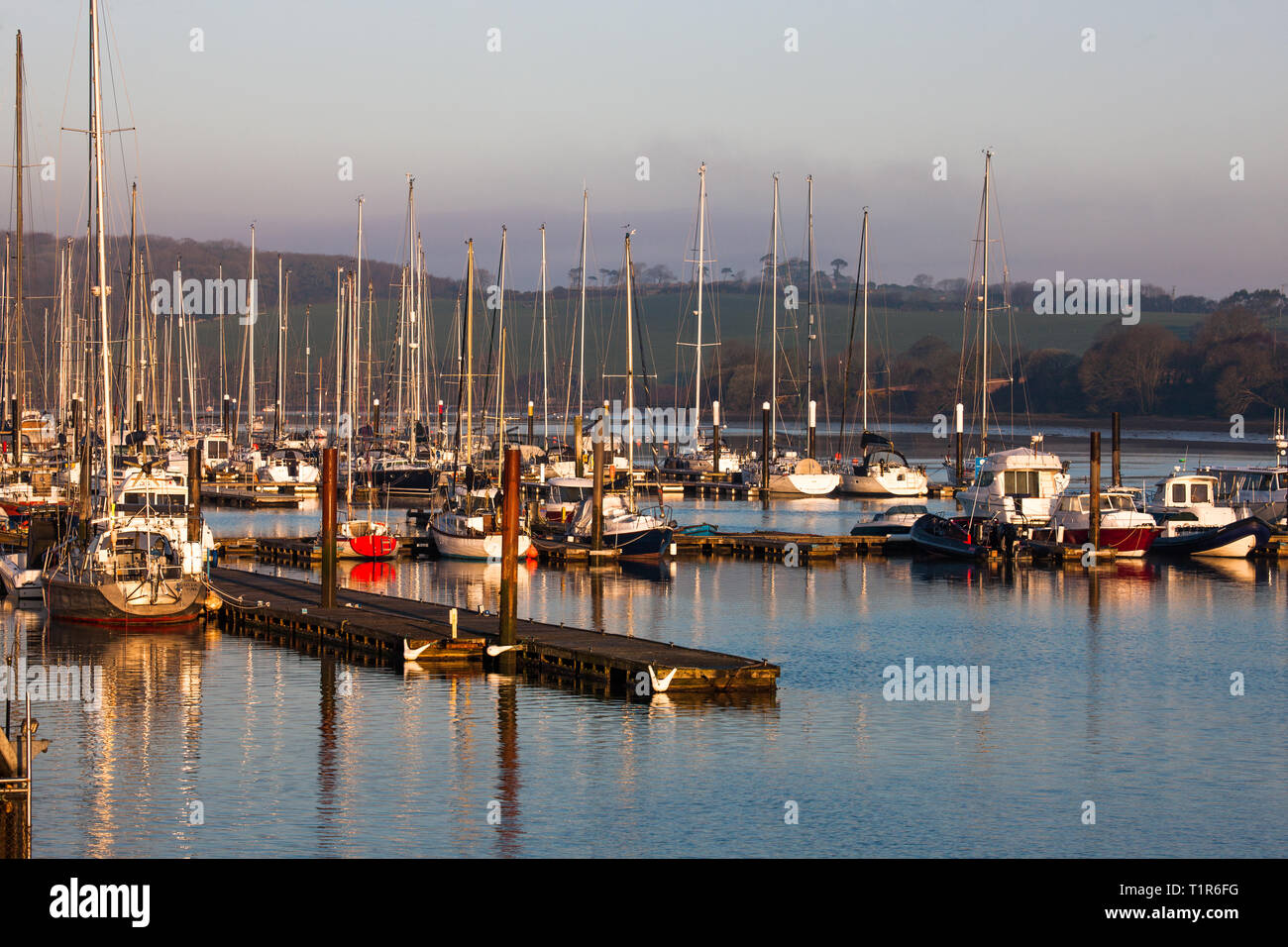 Crosshaven, Co Cork, Irland. 28. März, 2019. Am frühen Morgen beginnt die Yachten in der Marina an der Royal Cork Yacht Club in Crosshaven, Co Cork, Irland. - Bild David Creedon/Anzenberger Credit: David Creedon/Alamy Leben Nachrichten zu beleuchten Stockfoto