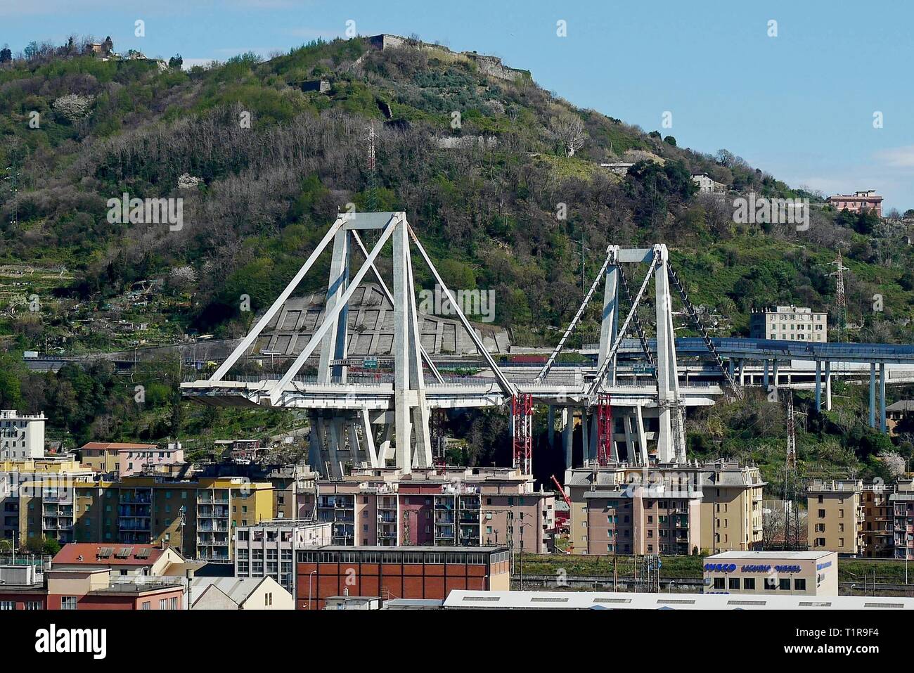 290 Proben wird auf dem Stapel 10 und 11 der Morandi Brücke gemacht werden für Asbest in der Struktur zu prüfen. (© Riccardo Arata/Fotogramma/Fotogramma, Genua - 2019-03-27) p.s. La foto e 'utilizzabile nel rispetto del contesto in Cui e' Stata scattata, e senza intento diffamatorio del decoro delle Persone rappresentate Stockfoto