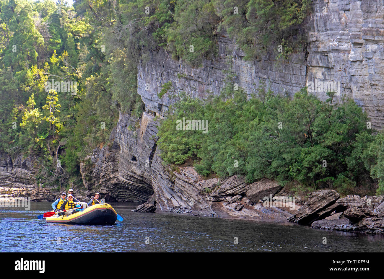 Rafting auf dem Franklin River Stockfoto