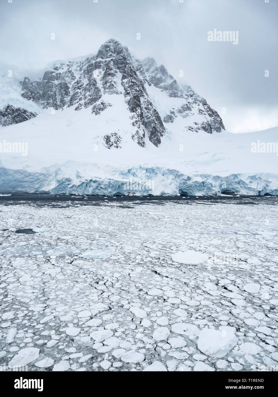 Dramatische Lemaire Kanal, Antarktis. Stockfoto