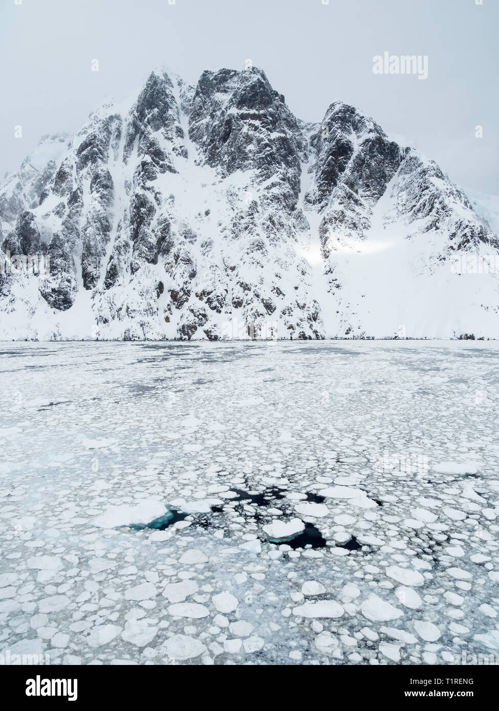Dramatische Lemaire Kanal, Antarktis. Stockfoto