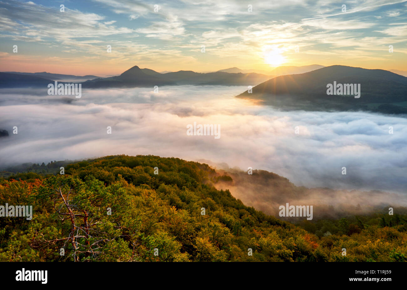 Herbst Sonnenaufgang über Nebel und Wald landschaft, Slowakei, Nosice Stockfoto