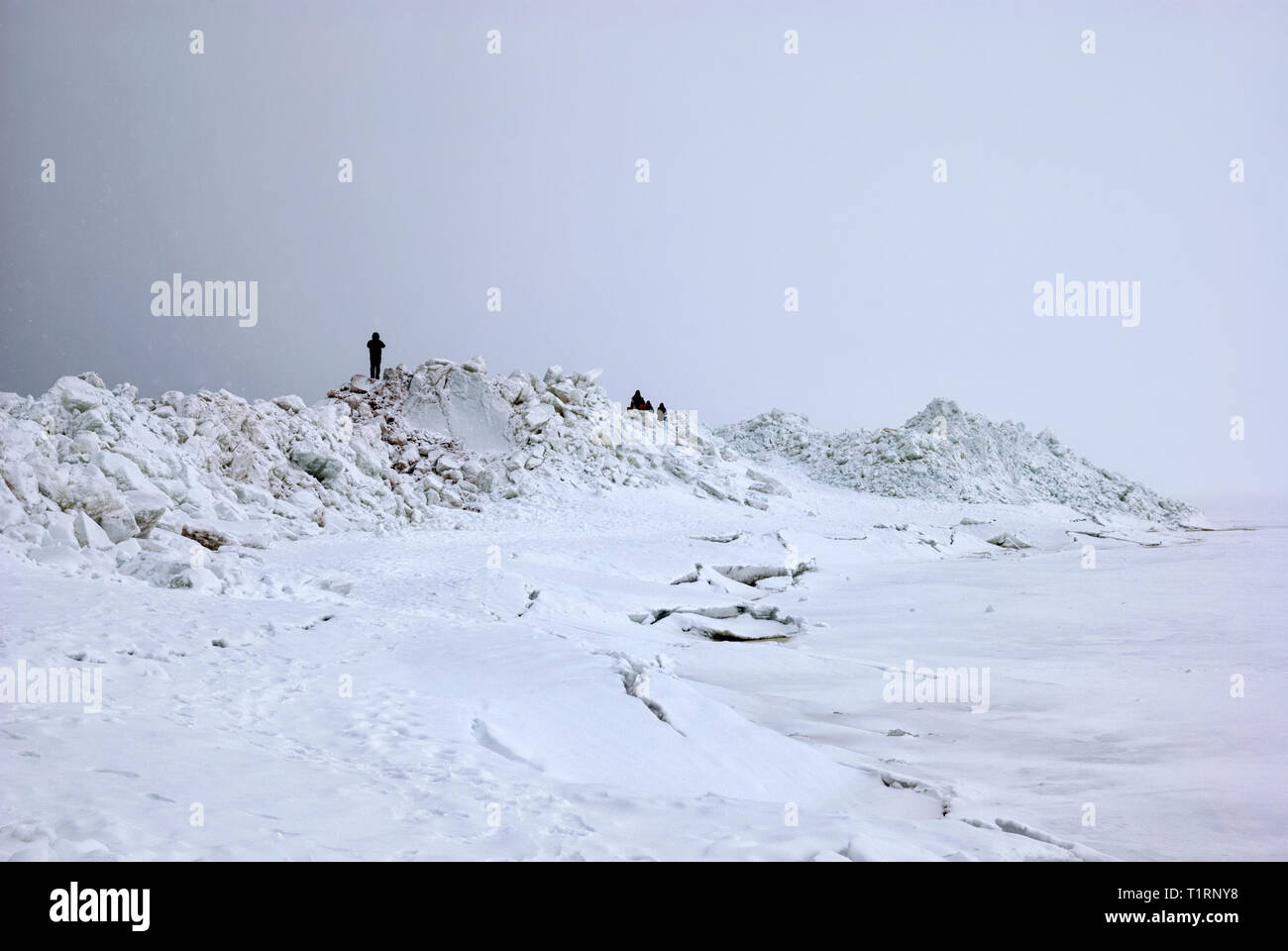 Menschen auf dem Bergrücken (eisschollen) am Golf von Finnland am Strand von zelenogorsk Stadt (Stadtteil von St. Petersburg) im März. Russland Stockfoto