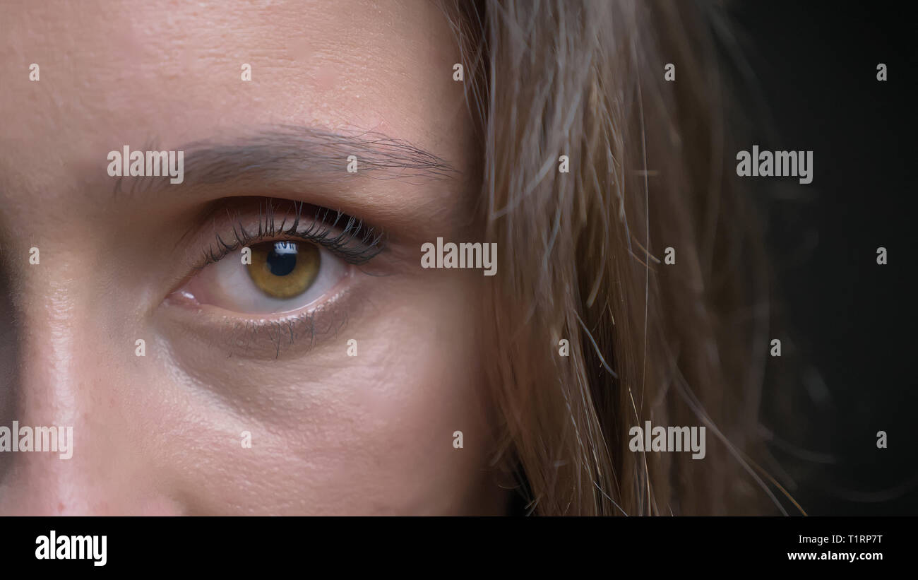 Closeup halben Gesicht schießen von jungen Hübschen kaukasischen brünette Frau mit braunen Augen, gerade mit Blick auf die Kamera Stockfoto