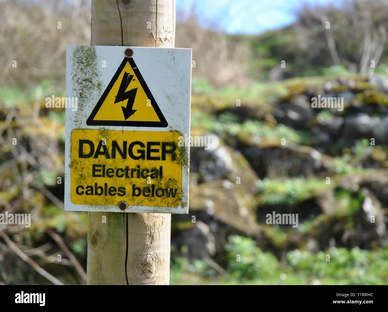 Ein Zeichen in Wäldern Warnung über elektrische Kabel Stockfoto