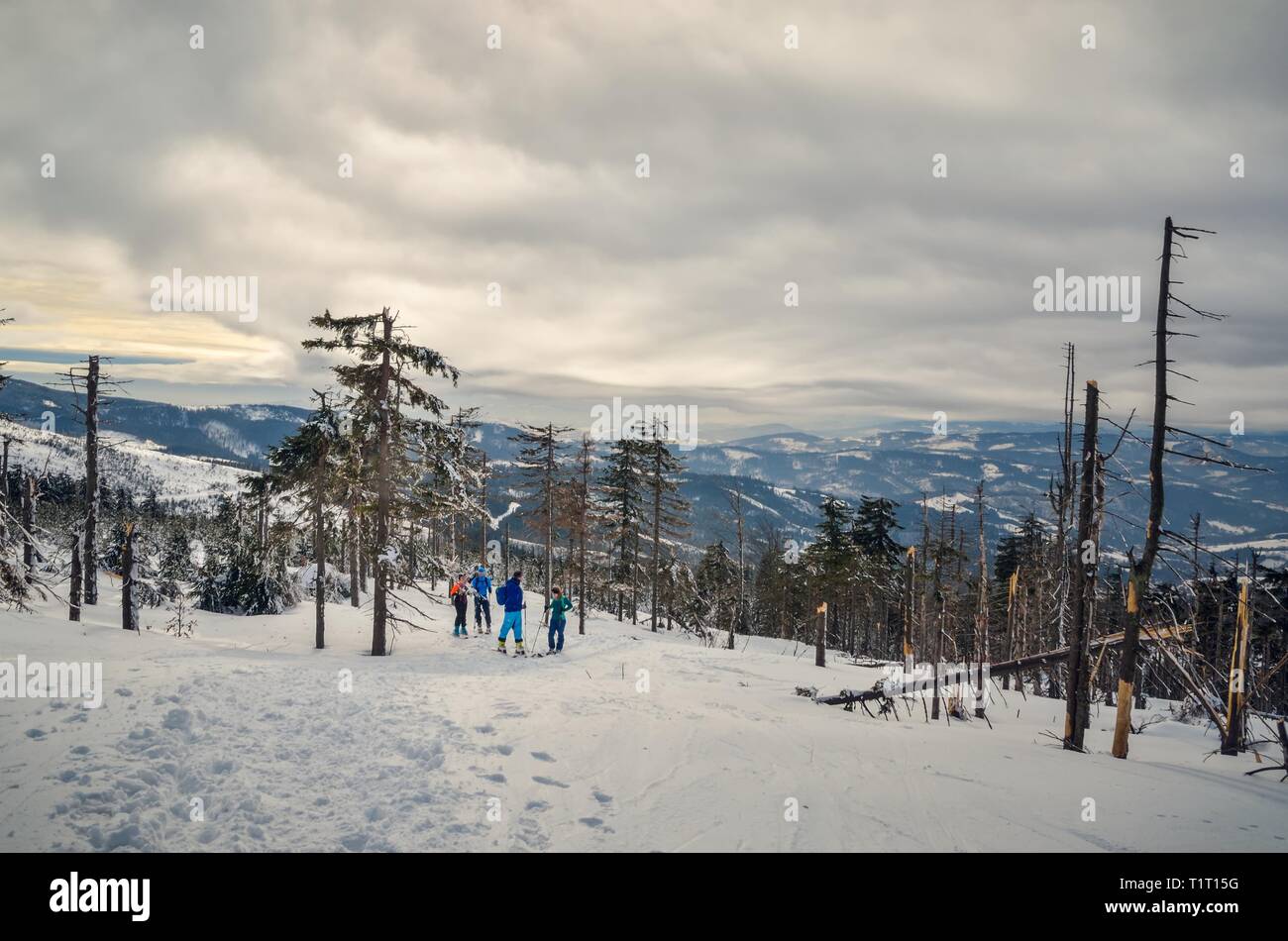 Beskiden, Polen - 24. FEBRUAR 2018: Skifahrer auf dem Berg Trail in den Polnischen bergen. Stockfoto