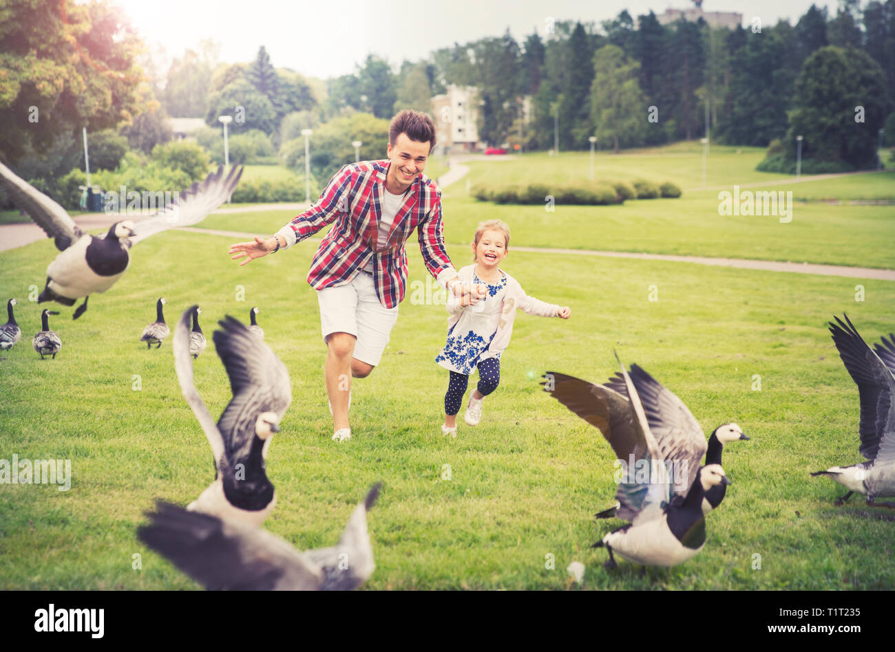 Vater und Tochter Spaß im Sommer Tag. Kanadische Gänse jagen, die auf die Wiese und Lachen. Gesunde Lebensweise. Helsinki, Finnland Stockfoto