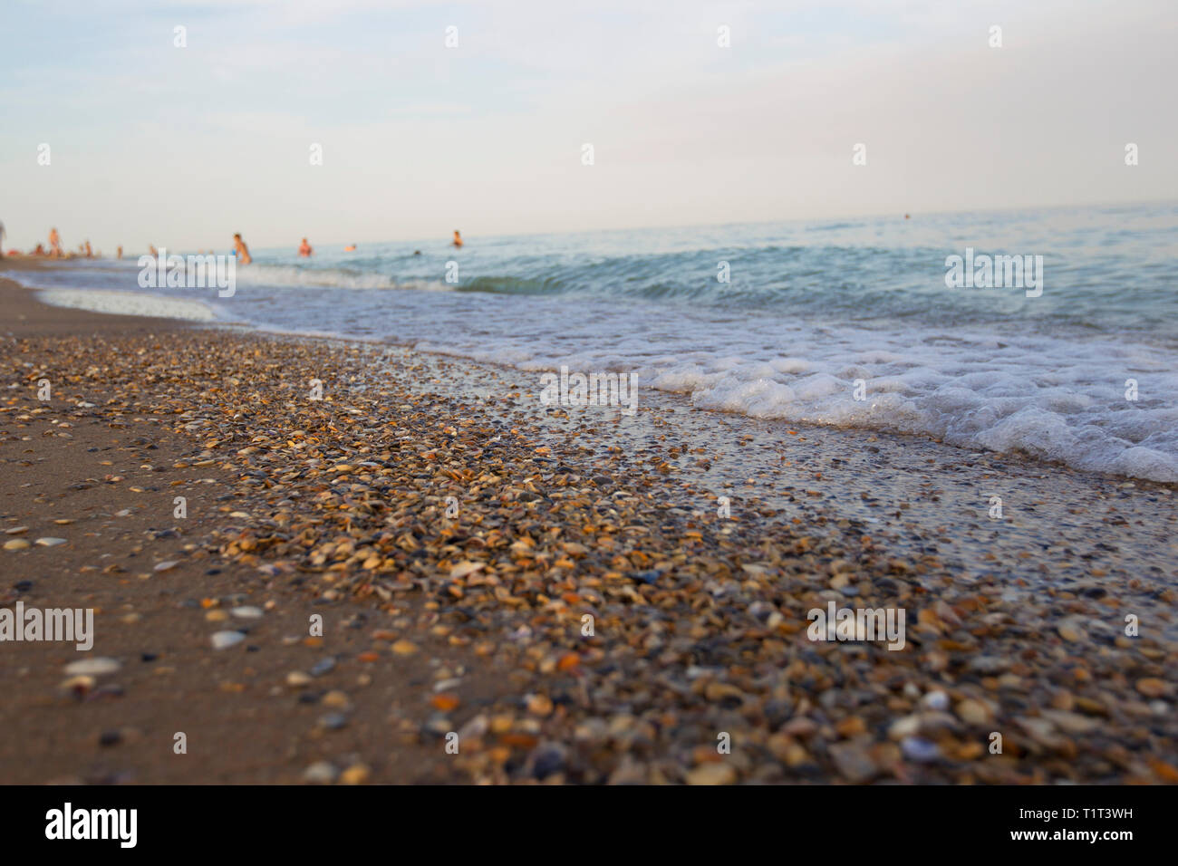 Strand mit Sand und Muscheln in der Ferne Stockfoto