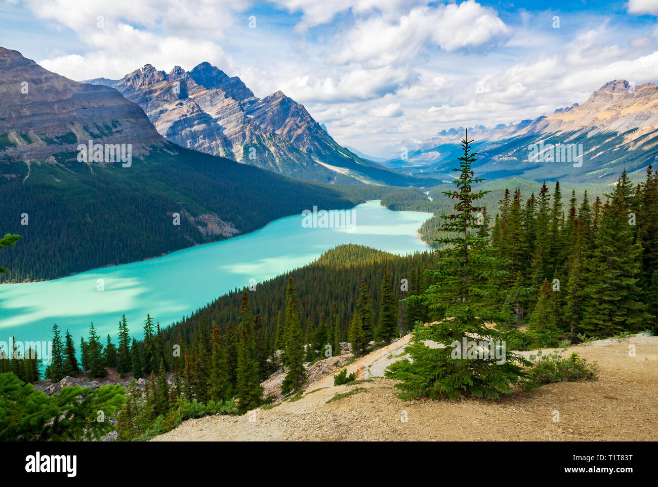 Peyto Lake British Columbia Kanada Stockfoto