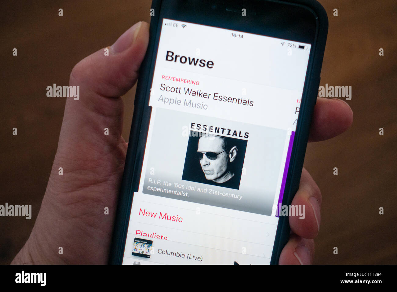 Über ein Mobiltelefon an Apple Musik App durchsuchen Stockfoto
