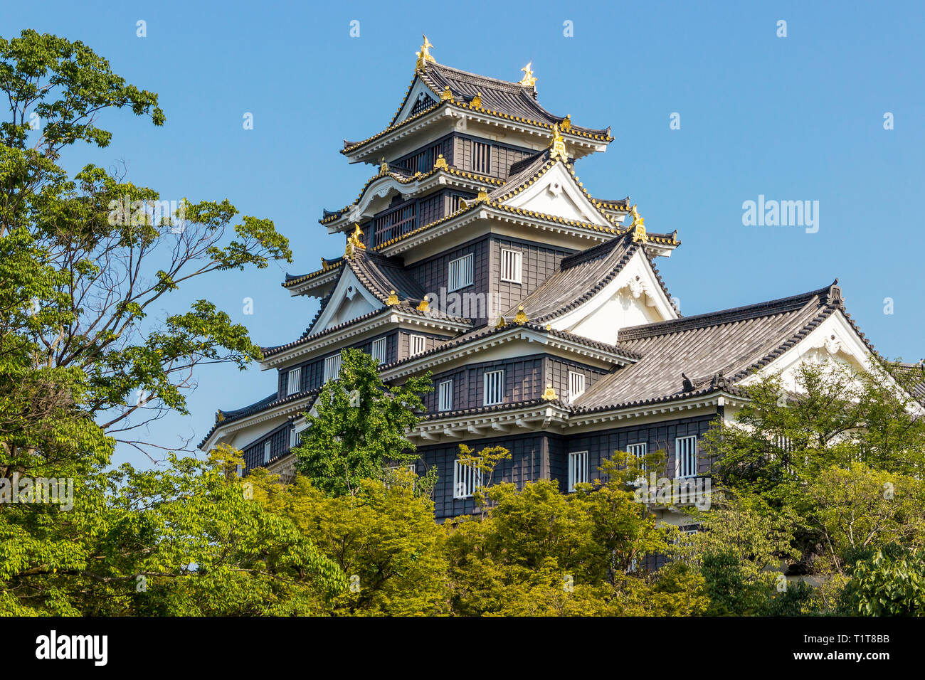 Okayama Castle Stockfoto