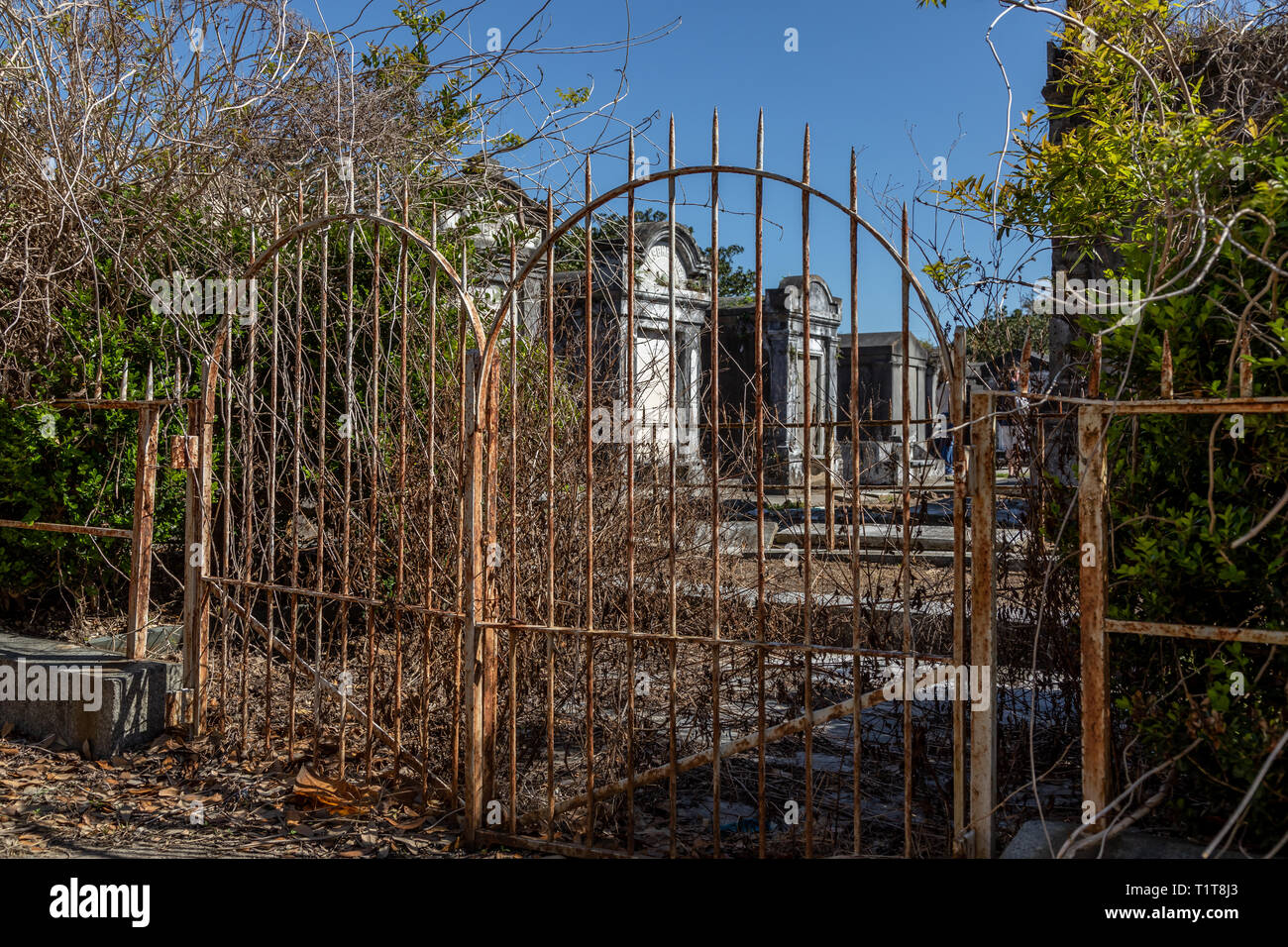 Lafayette Cemetery in New Orleans Stockfoto