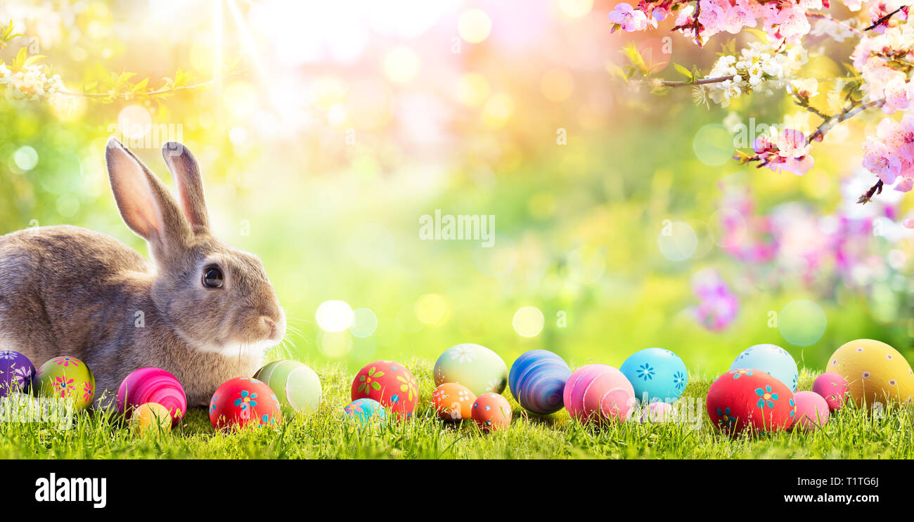 Adorable Osterhase mit Ostereiern In blumigen Wiese Stockfoto