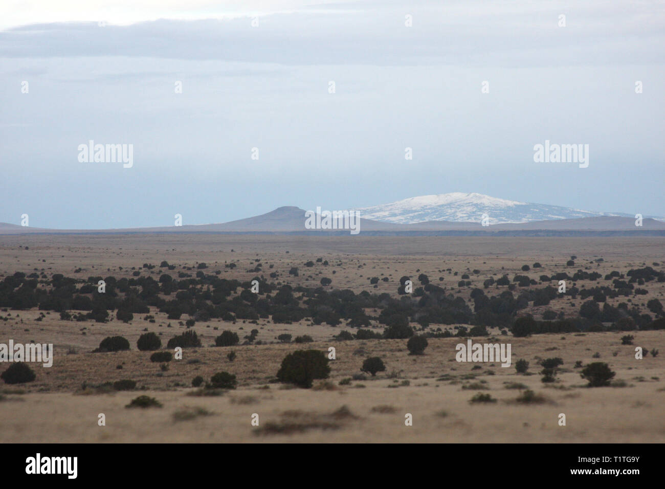 Trockene Winter Landschaft in New Mexico, USA Stockfoto