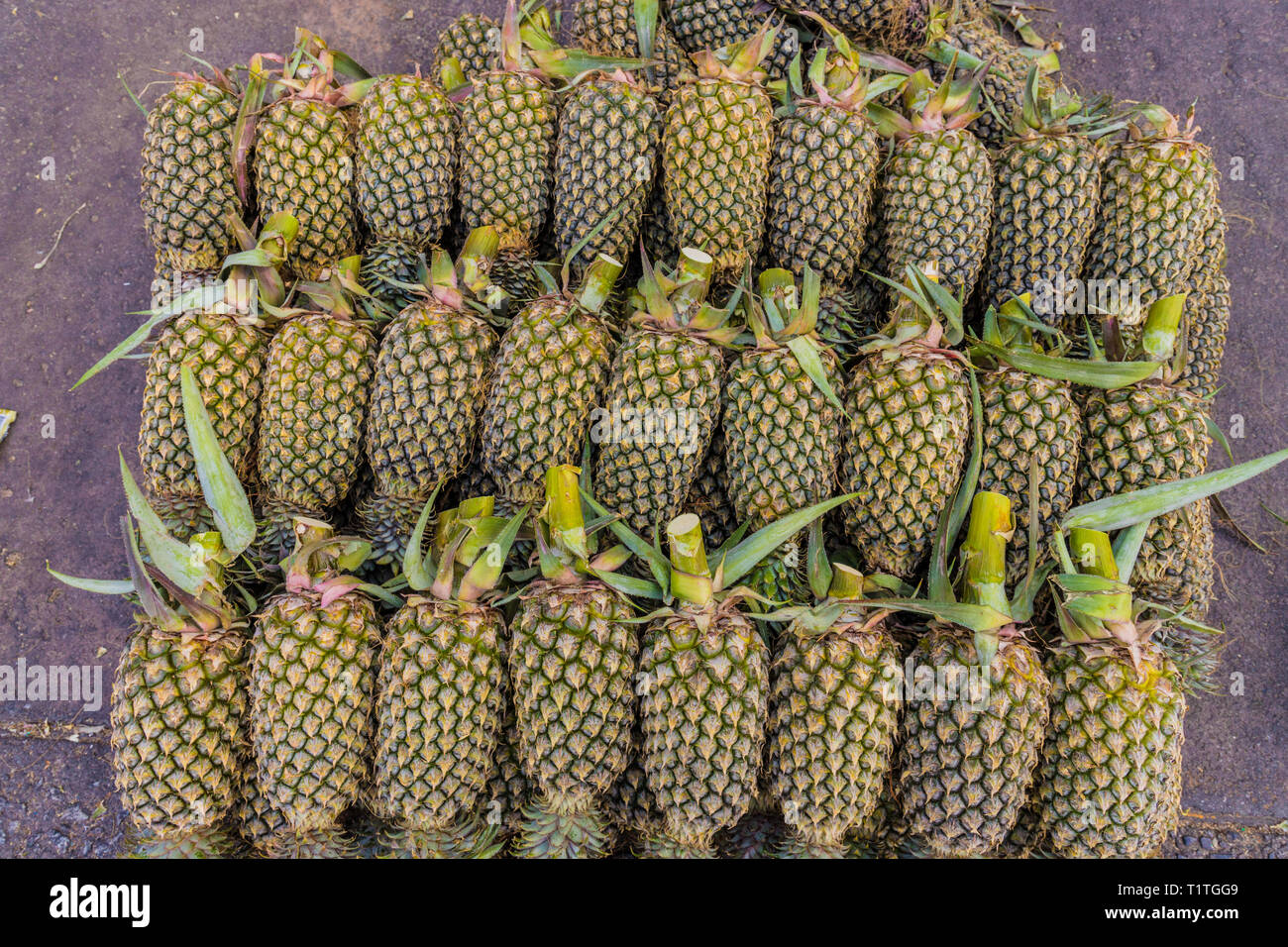 Ananas für den Verkauf in Thailand Stockfoto