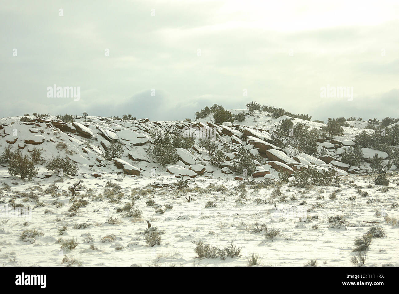 Winterlandschaft in New Mexico, USA Stockfoto