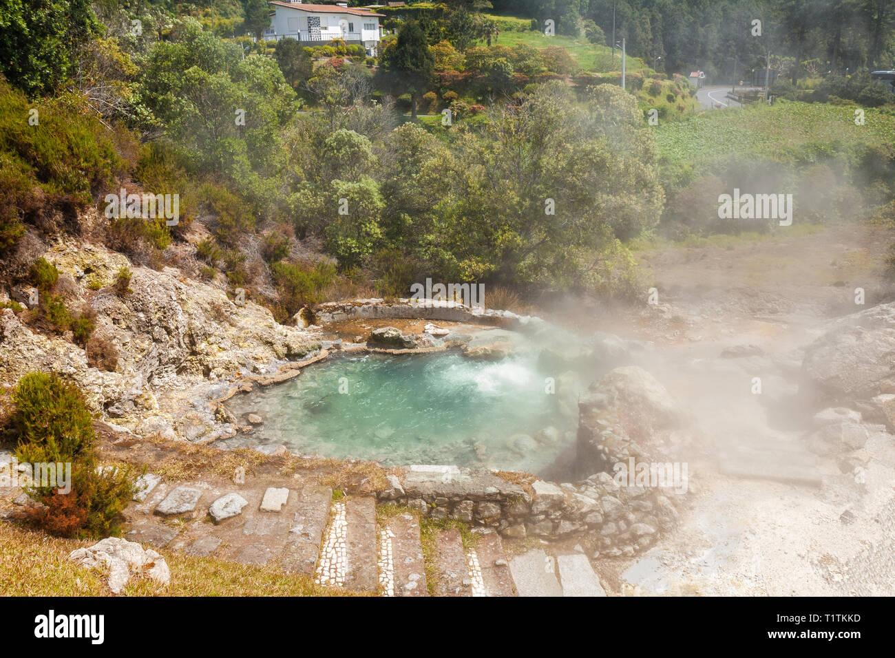 Eine der vielen Geysire, heiße Quellen und Fumarolen in der Mitte des Dorfes von Furnas, Sao Miguel, Azoren verstreut Stockfoto