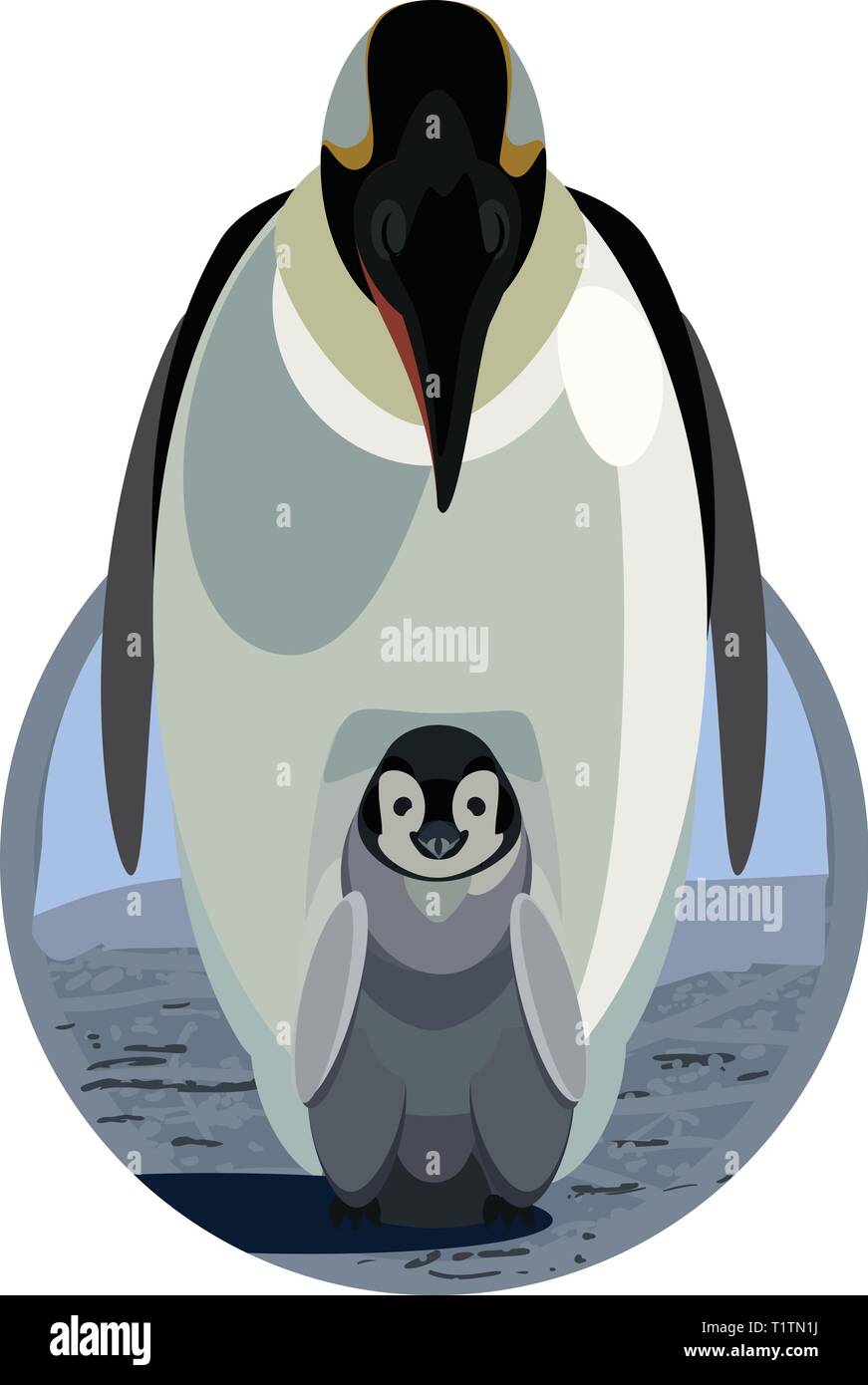 Eine Grafik vektor Rendering eines erwachsenen Pflege ein Baby Pinguin Stock Vektor