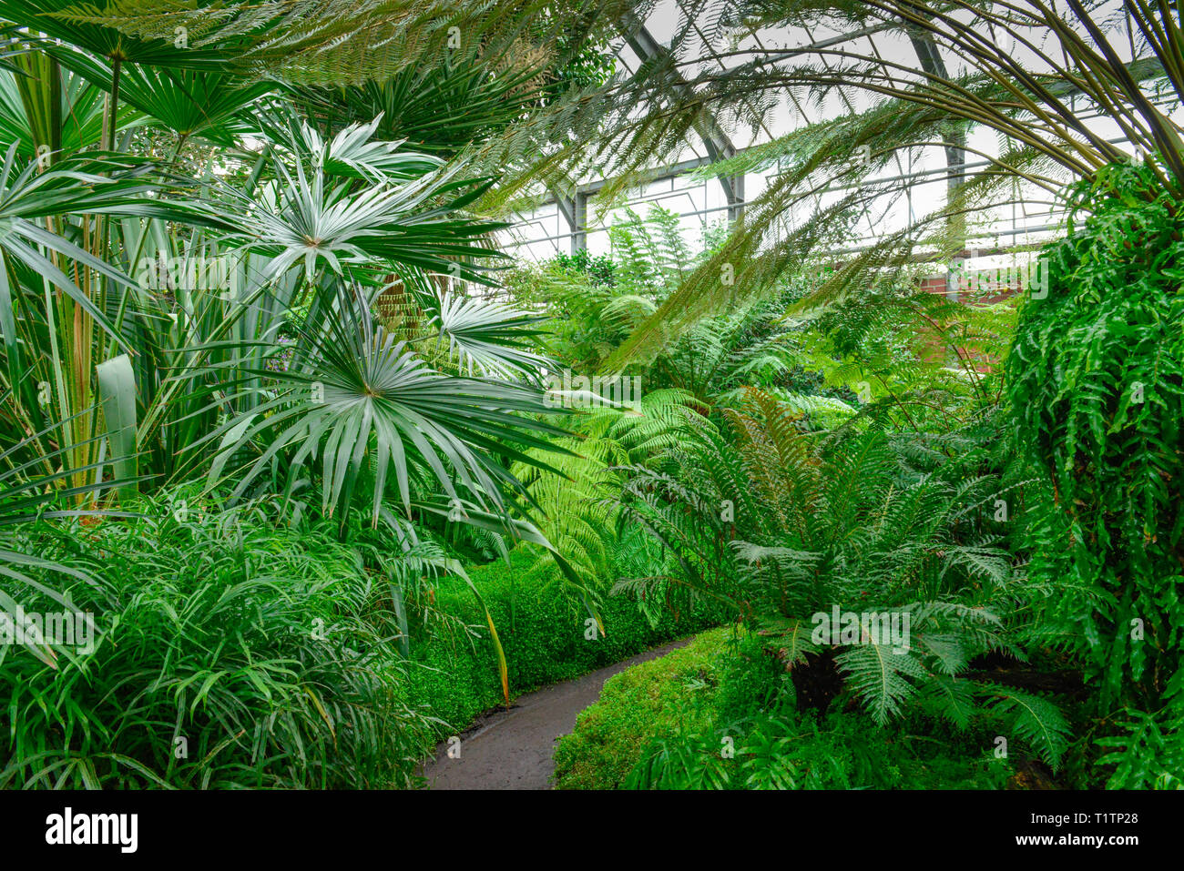 Indoor outdoor garten Fotos und Bildmaterial in hoher Auflösung Alamy