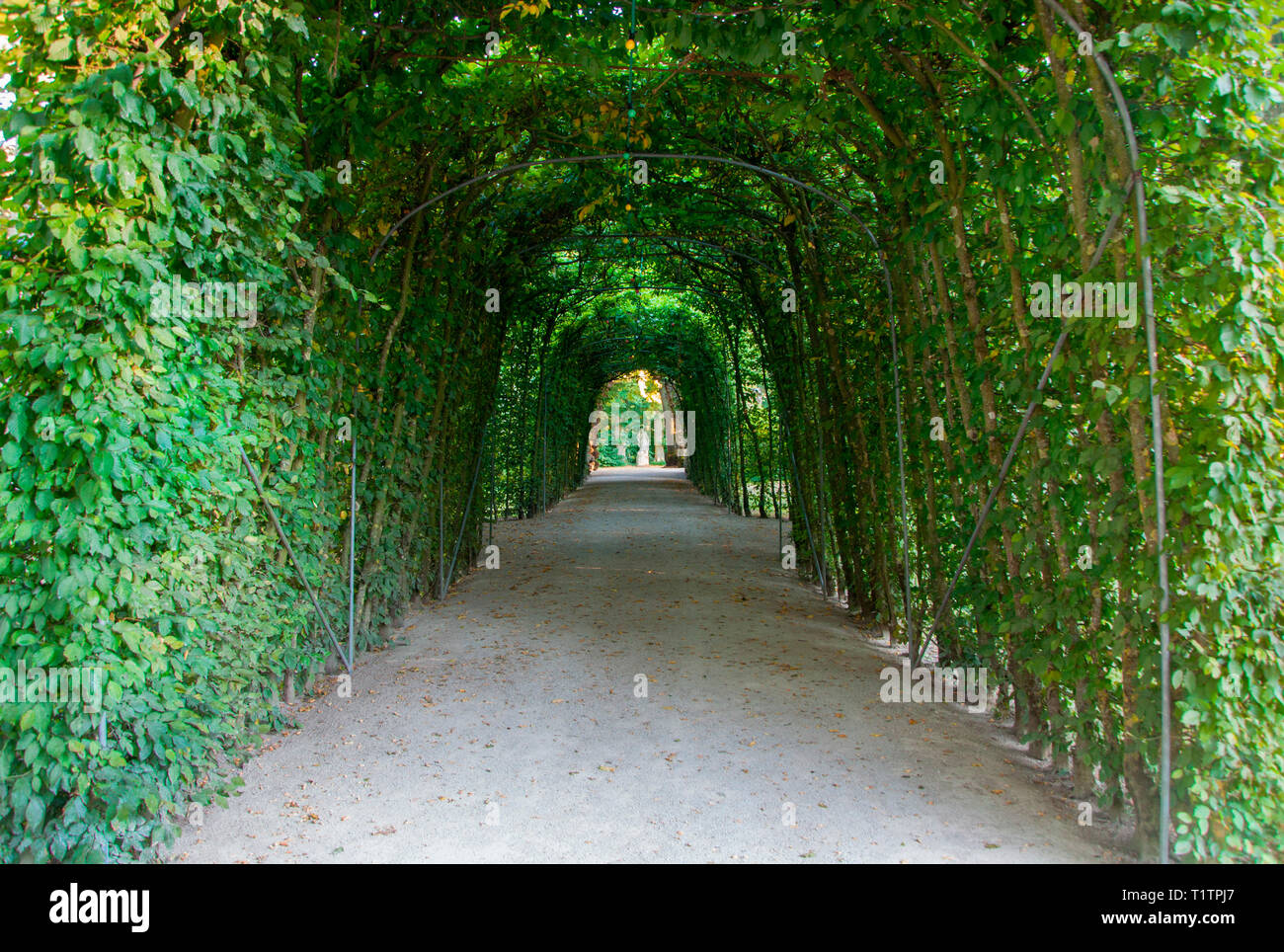 Pergola in der Eremitage, Bayreuth, Bayern, Deutschland, Europa Stockfoto