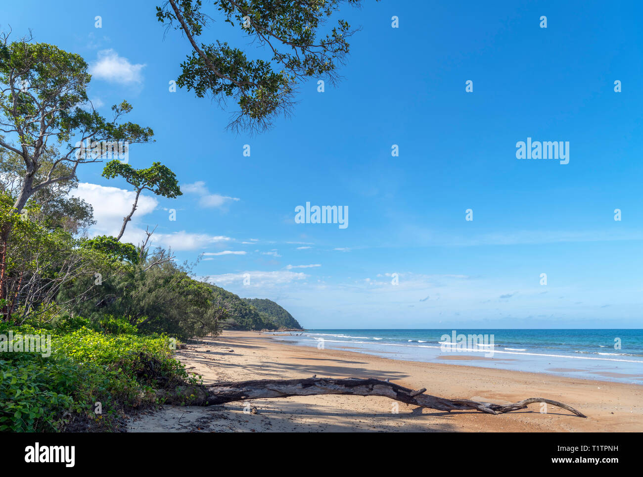 Daintree, Queensland. Strand von Cow Bay, dem Daintree Rainforest, Daintree National Park, Far North Queensland, Australien Stockfoto