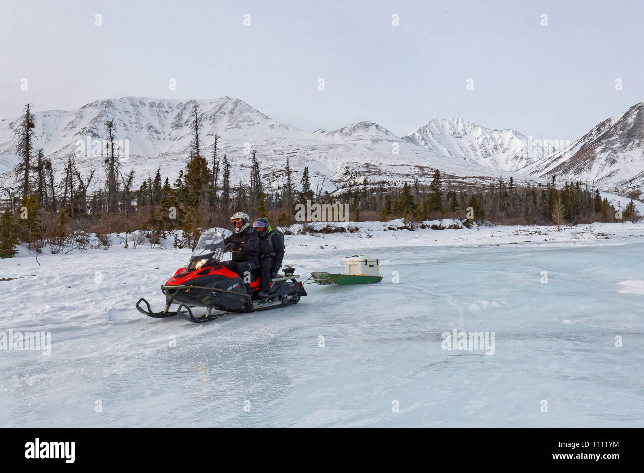 HAINES JUNCTION, Yukon, Kanada, 12. März 2019: Reise sind auf eisfeldern mit Schneemobilen organisiert. Stockfoto