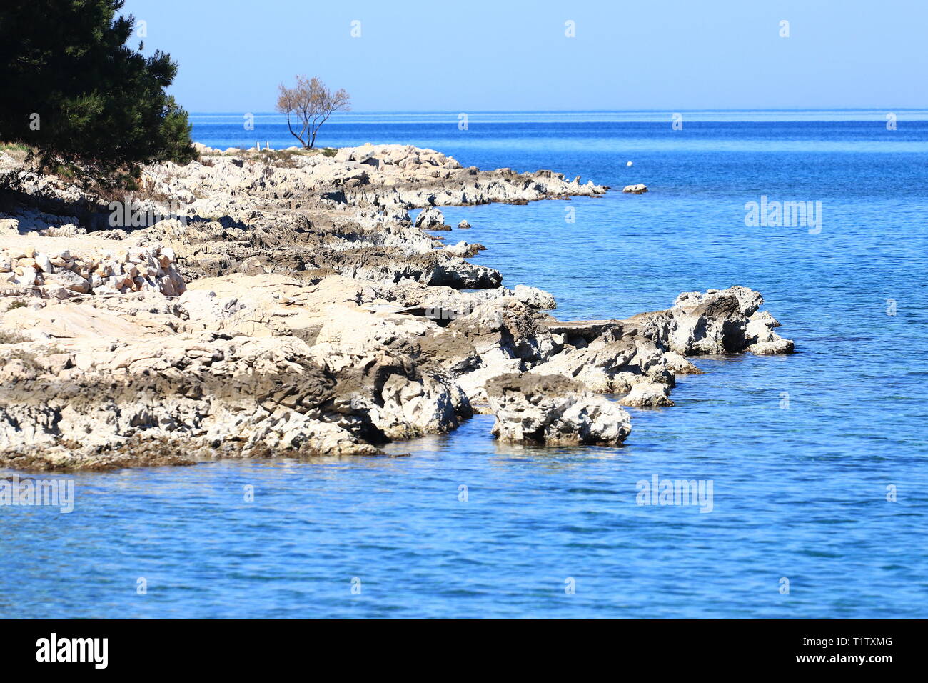 Marine auf der Insel Ugljan in Kroatien; felsige Küste mit klaren, blauen Meer Stockfoto