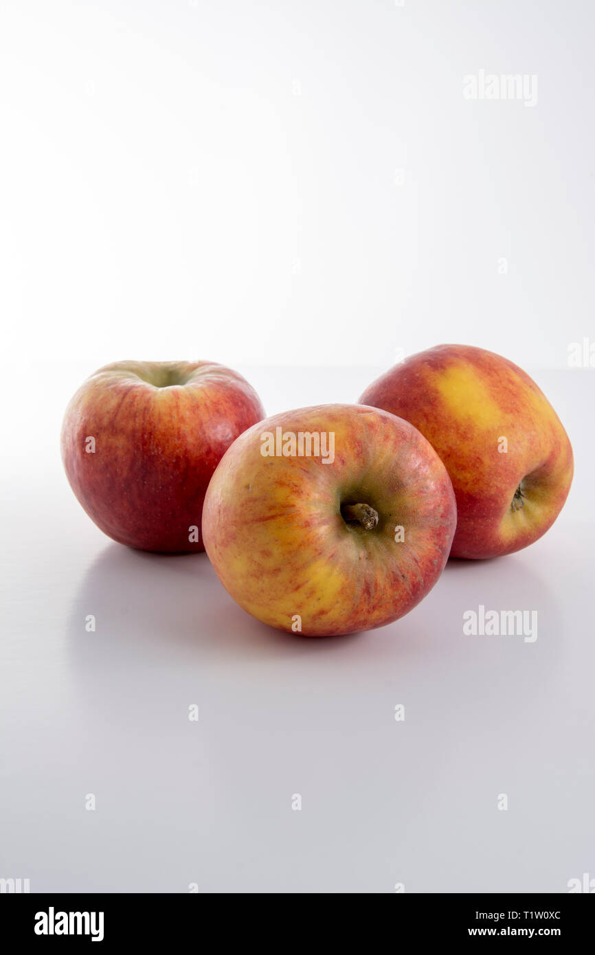 Britische Äpfel auf weißem Hintergrund Stockfoto