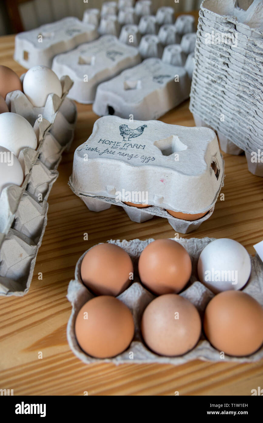 Eier aus Freilandhaltung verpackt Stockfoto